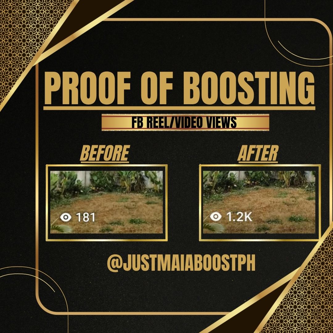 Proof of boosting โ FB Reel / Video Views